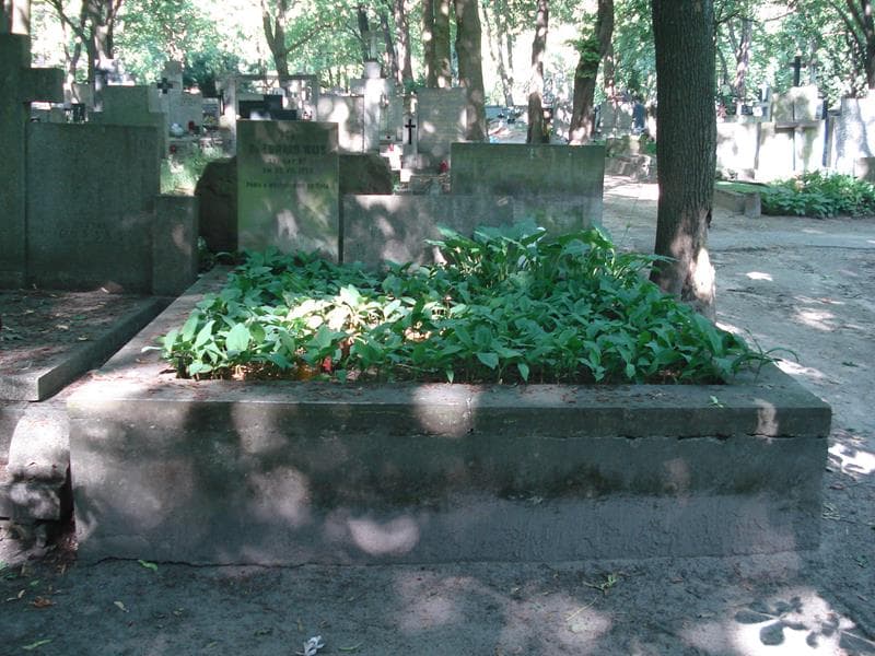 Zdjęcie grobu: Karol Wajs