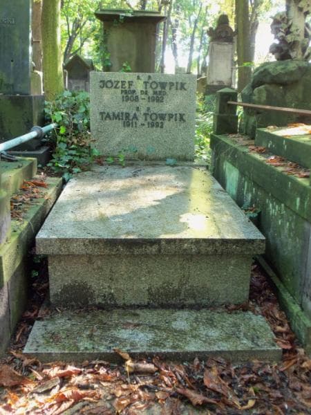 Zdjęcie grobu: Józef Towpik