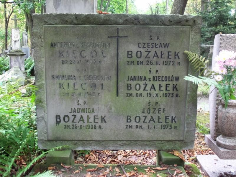 Zdjęcie grobu Janina Bożałek (2)