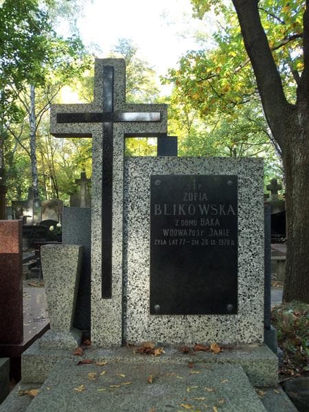 Zdjęcie grobu Zofia Blikowska (2)