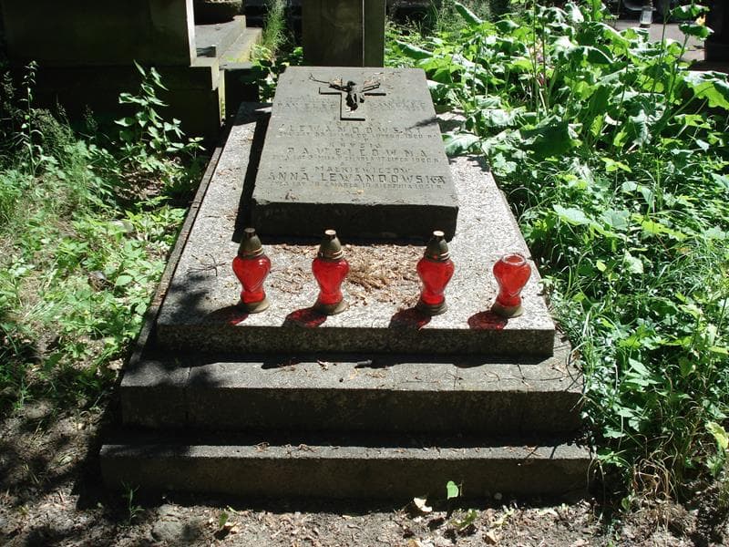Zdjęcie grobu: Władysław Pawelec