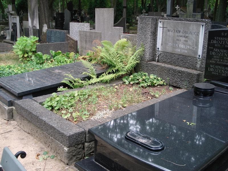 Zdjęcie grobu: Irena Dulinicz