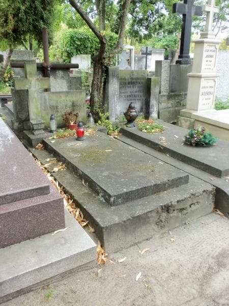 Zdjęcie grobu Zofia Jastrzębowska (1)
