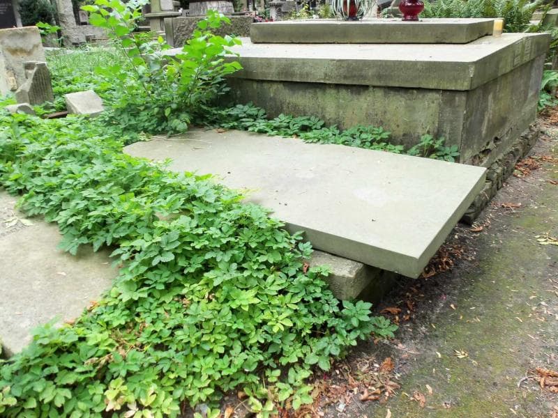 Zdjęcie grobu Józef Myszkowski (1)