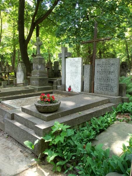Zdjęcie grobu Karolina Koczorowska (1)