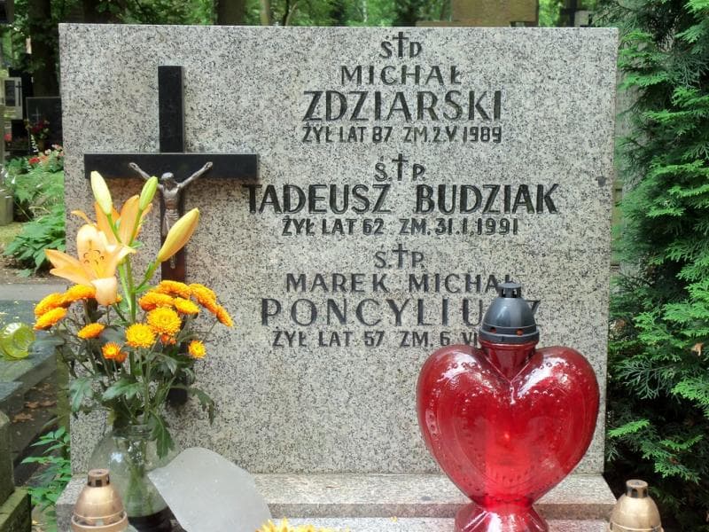 Zdjęcie grobu Tadeusz Budziak (2)
