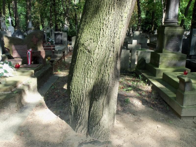 Zdjęcie grobu Pole Grobowe (1)