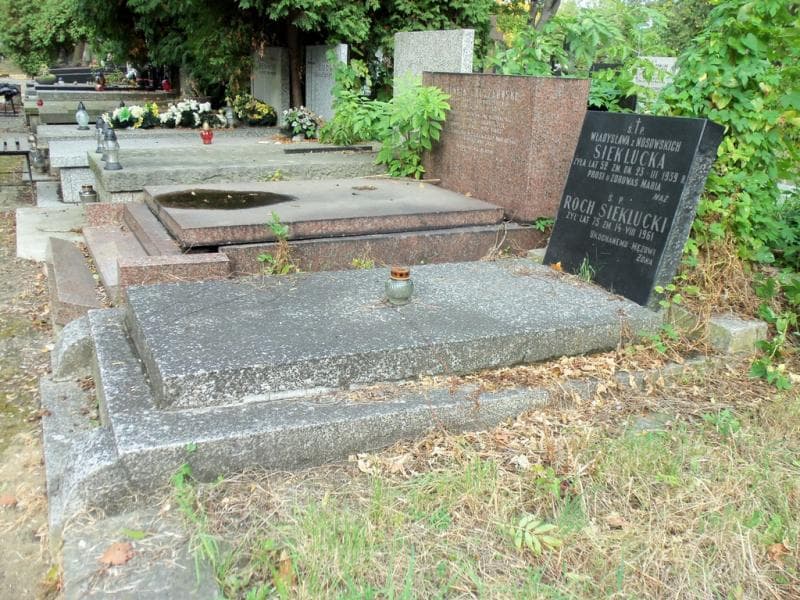 Zdjęcie grobu Władysława Sieklucka (1)