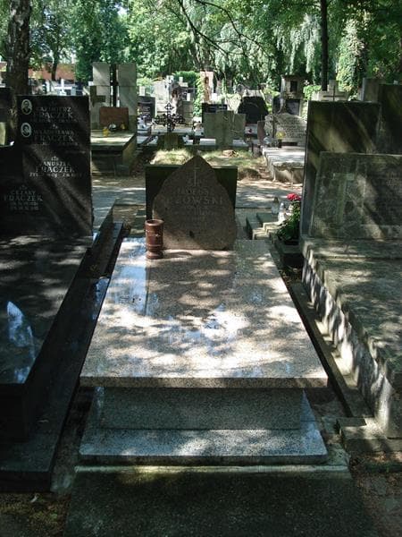 Zdjęcie grobu: Mieczysław Bzowski