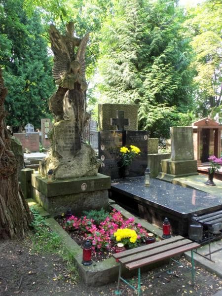 Zdjęcie grobu Stanisława Irena Kozłowicz (1)