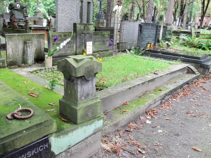 Zdjęcie grobu Alicja Hołuj (2)