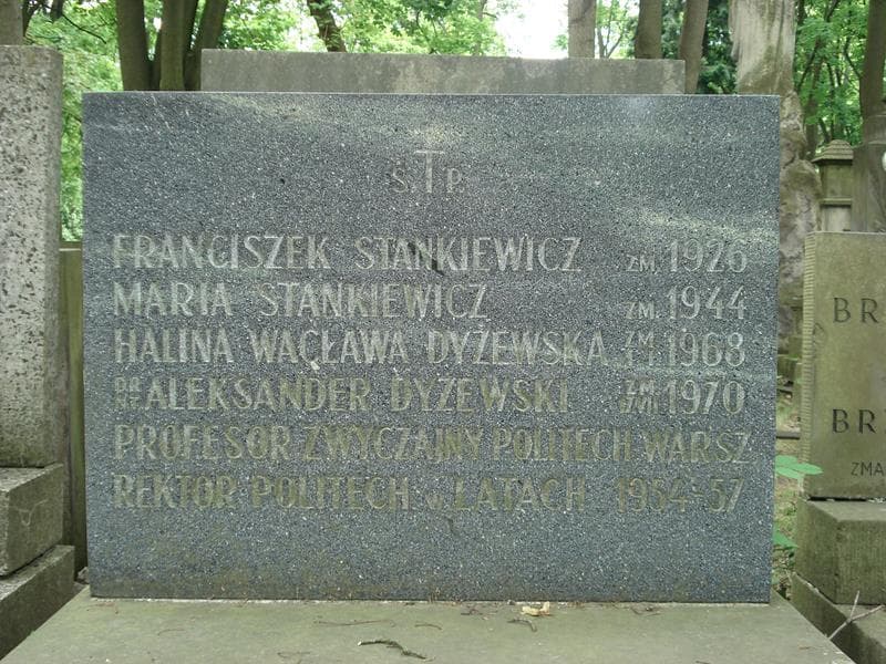 Zdjęcie grobu Aleksander Dyżewski (2)