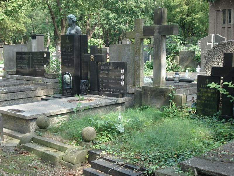 Zdjęcie grobu Ludwik Wasilewski (1)