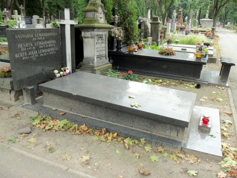 Zdjęcie grobu Berta Julia Lewandowska (1)