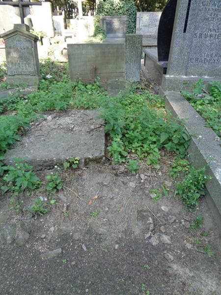 Zdjęcie grobu: Aleksander Oknijski