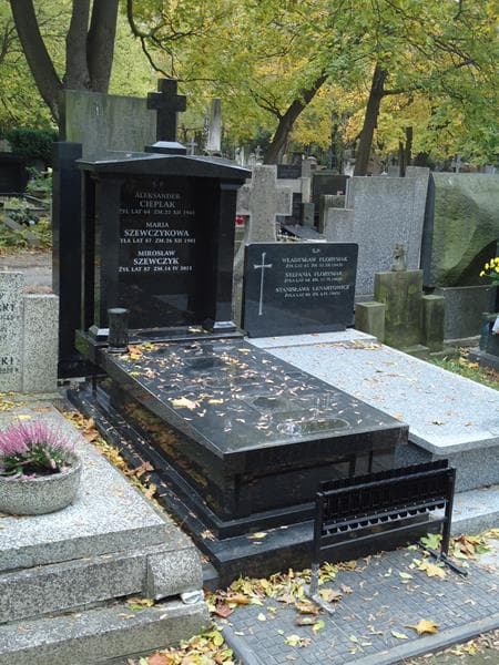 Zdjęcie grobu Aleksander Cieplak (1)
