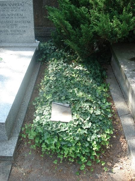 Zdjęcie grobu: Józefa Głowacka