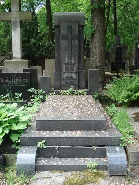 Zdjęcie grobu Halina Hann (1)