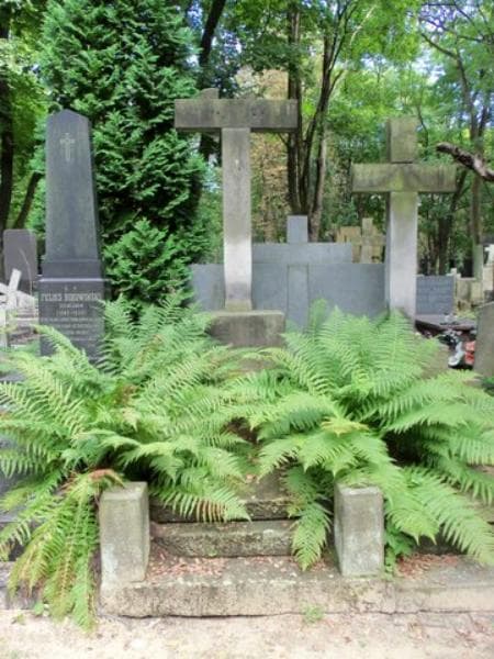Zdjęcie grobu: Kazimierz Lesisz