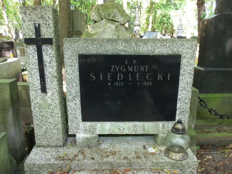 Zdjęcie grobu Zygmunt Siedlecki (2)