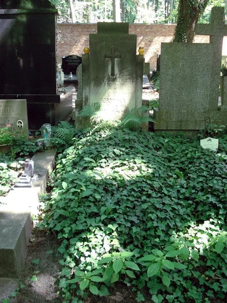 Zdjęcie grobu: Józef Borowski