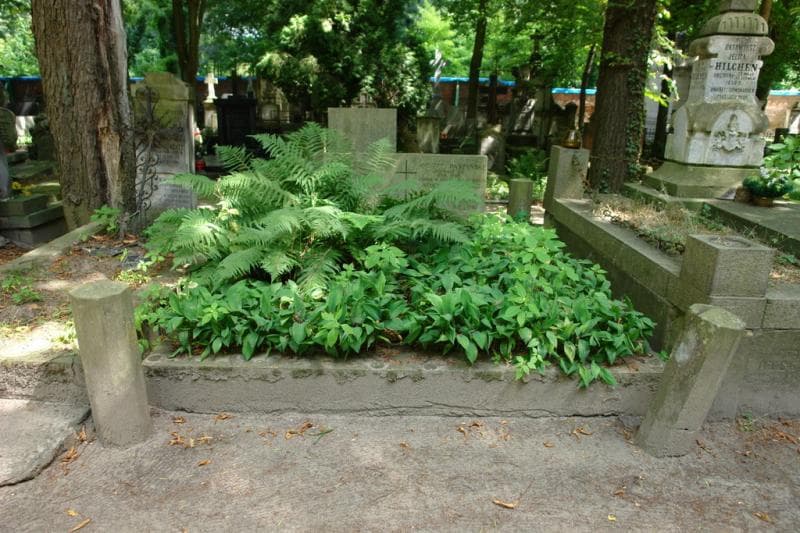 Zdjęcie grobu: Andrzej Paszyński