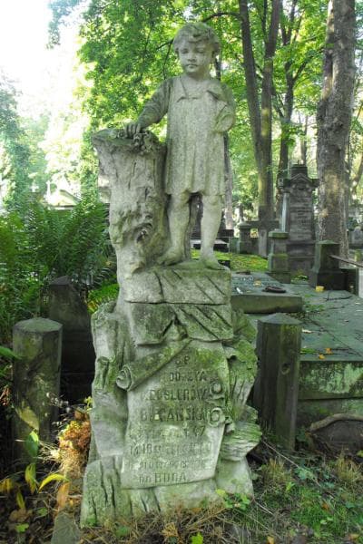 Zdjęcie grobu Teodozya Biegańska (1)