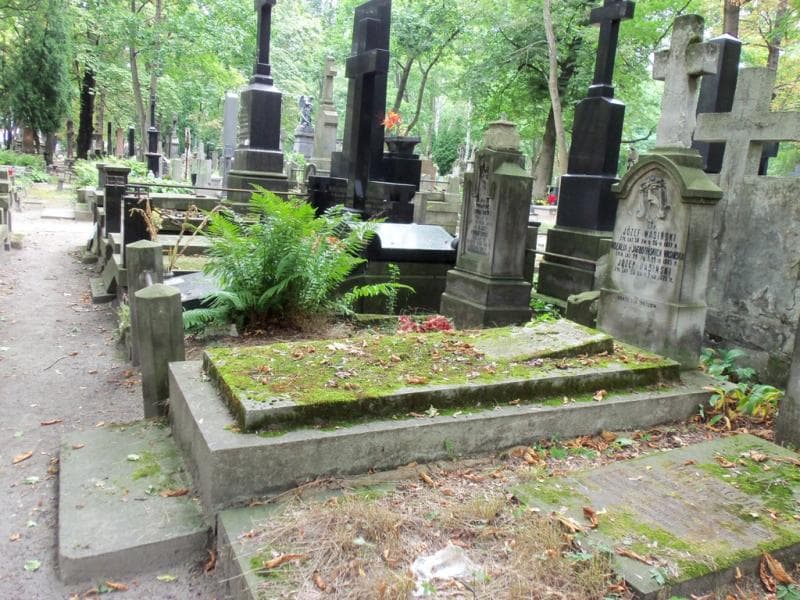 Zdjęcie grobu Józef Wasiński (1)