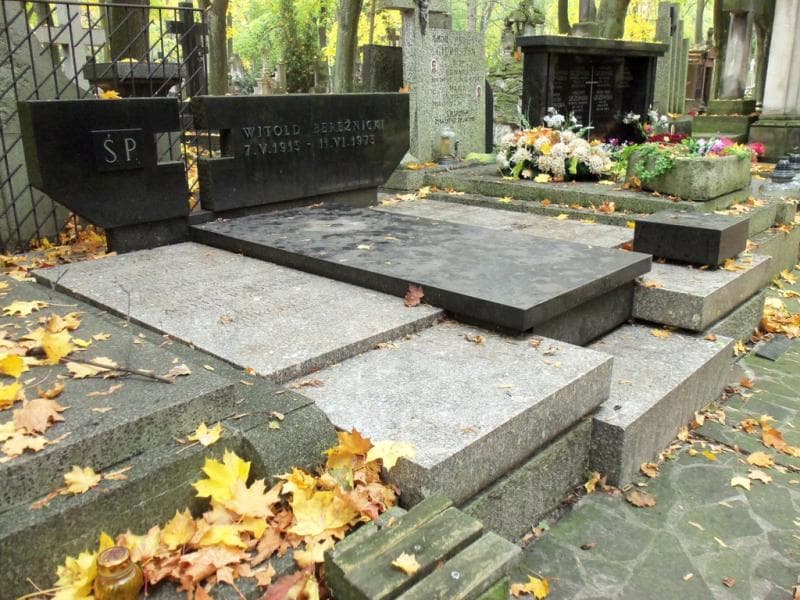 Zdjęcie grobu Aniela Bereźnicka (1)