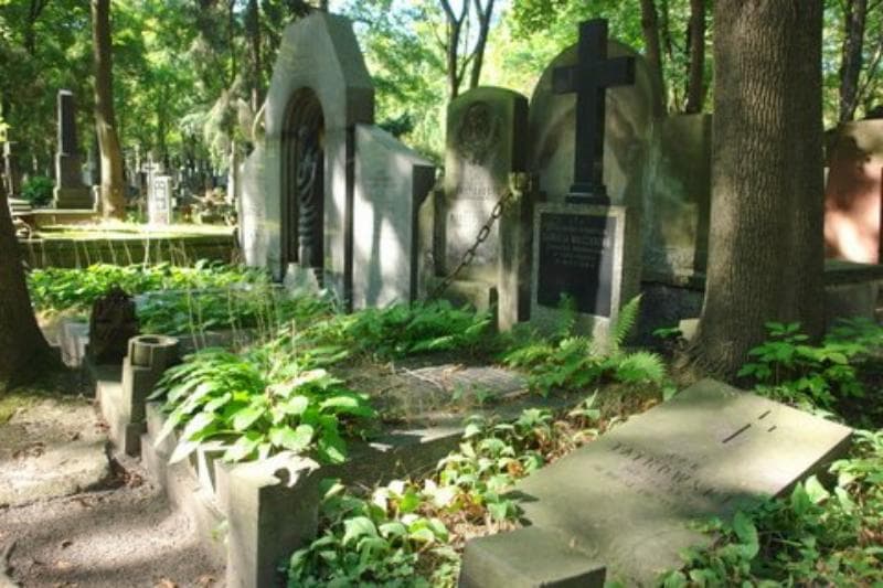 Zdjęcie grobu Henryk Walczak (1)