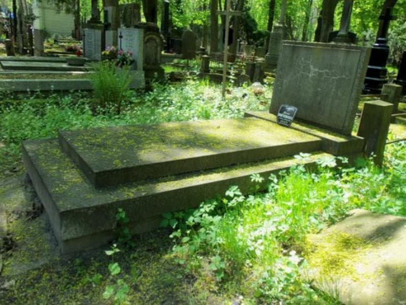 Zdjęcie grobu Janina Horyszowska (1)