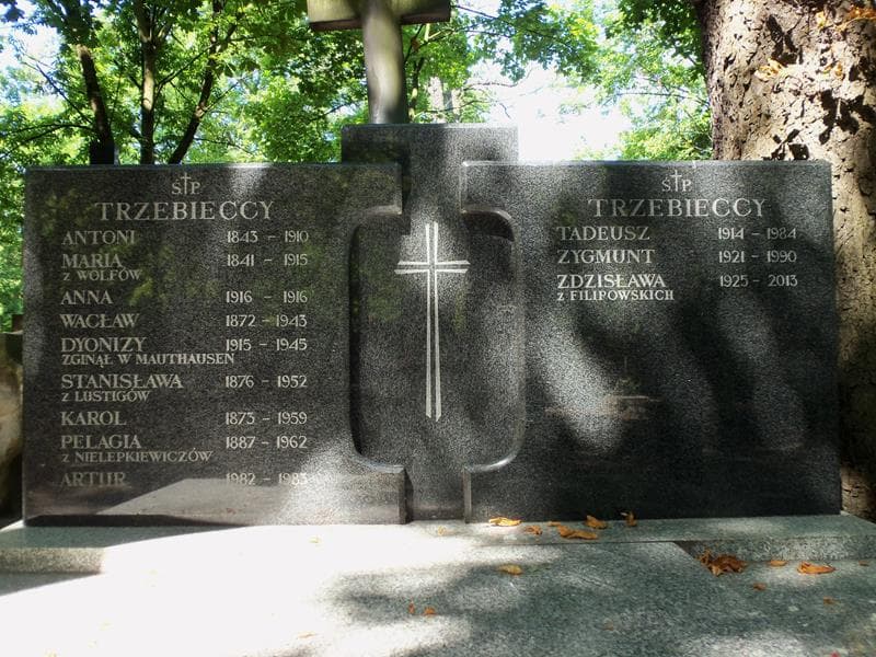 Zdjęcie grobu Karol Trzebiecki (2)