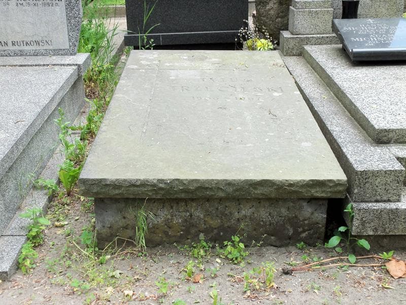 Zdjęcie grobu: Tytus Trzecieski