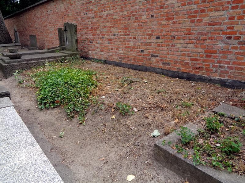 Zdjęcie grobu Pole Grobowe (1)
