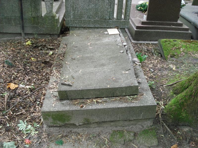 Zdjęcie grobu: Stanisława Szewczyk