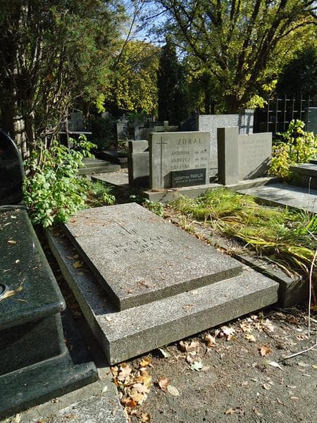 Zdjęcie grobu Marian Pichler (2)