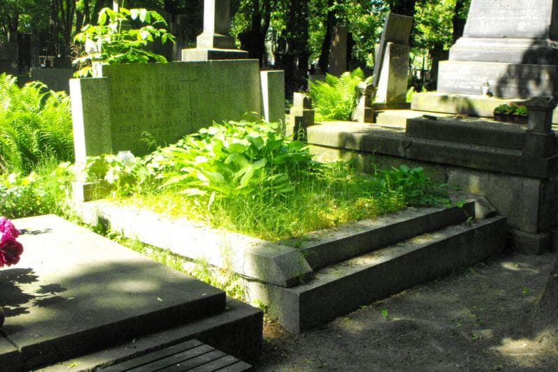 Zdjęcie grobu Jerzy Kocięcki (1)