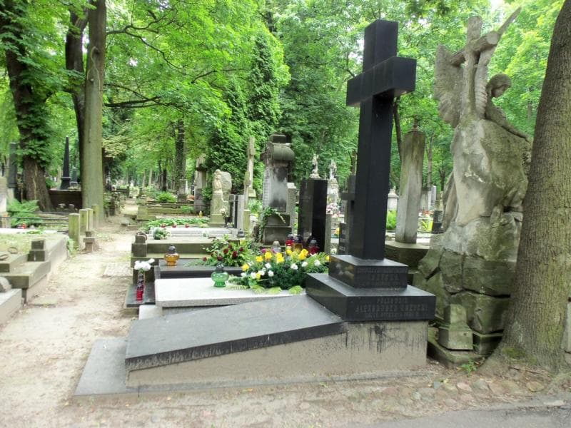 Zdjęcie grobu Aleksander Krzycki (1)