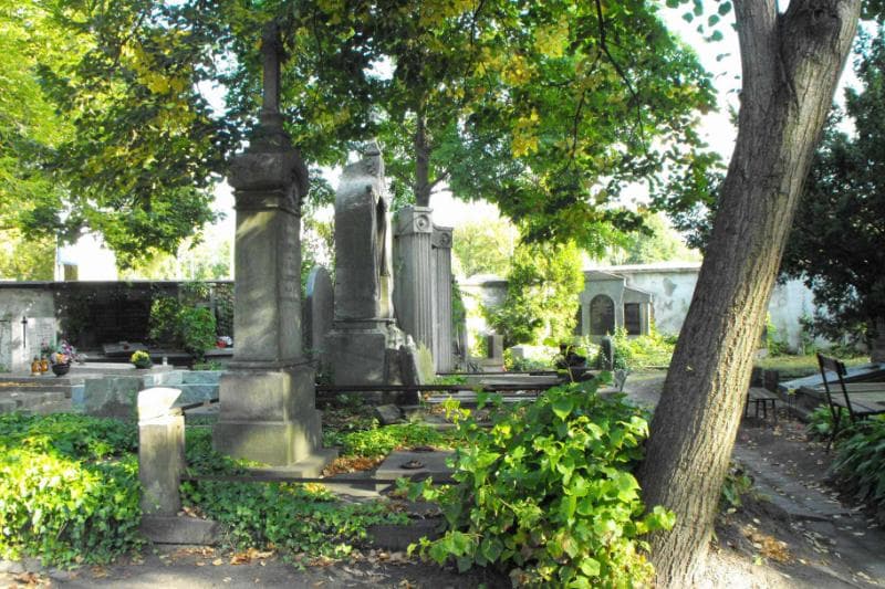Zdjęcie grobu Stanisława Jeziorowska (1)