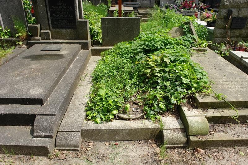 Zdjęcie grobu Krystyna Iwanicka (1)