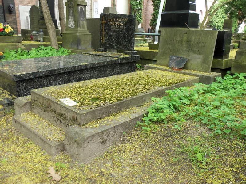 Zdjęcie grobu Maria Zawadzka (1)