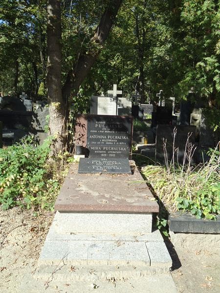 Zdjęcie grobu: Maria Antonina Celkowska