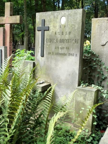 Zdjęcie grobu Albin Larysa - Domański (1)