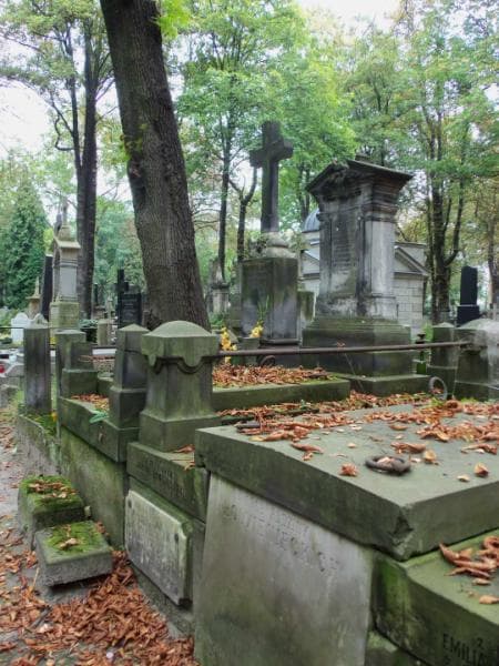 Zdjęcie grobu Jan Niedźwiedzki (1)