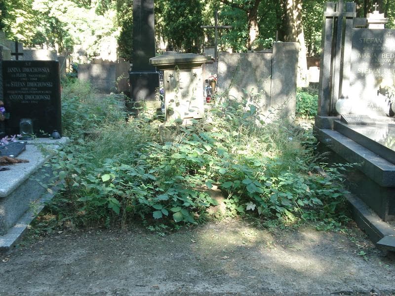 Zdjęcie grobu: Józef Ruscicki