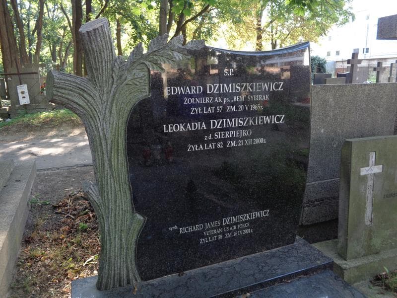 Zdjęcie grobu Edward Dzimiszkiewicz (2)