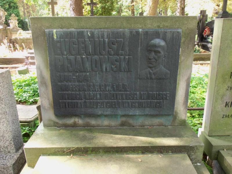 Zdjęcie grobu Eugeniusz Pijanowski (2)