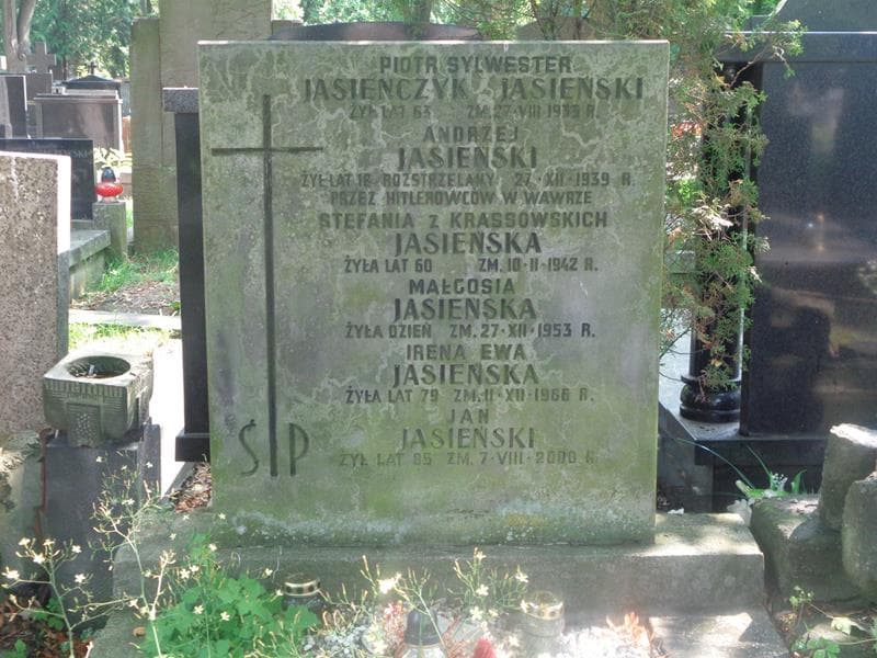 Zdjęcie grobu Stefania Jasieńska (2)