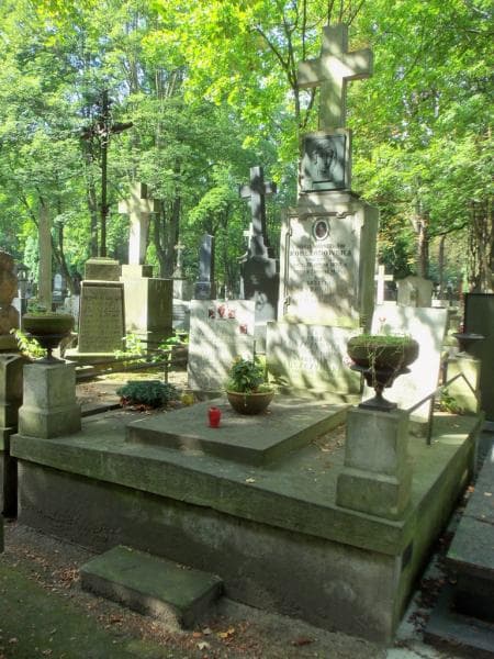 Zdjęcie grobu: Ludwik Okoński