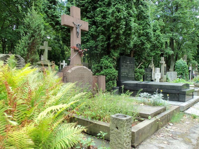 Zdjęcie grobu Stanisław Dąbrowski (1)